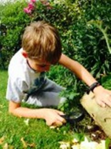 The Denbigh Show bug hunt